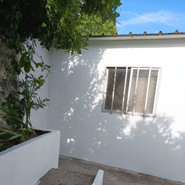 Zoeserve - São João da Madeira - Peinture