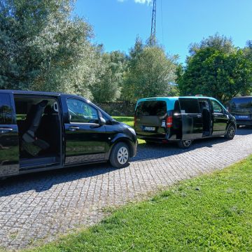 Somos9.transportes - Guimarães - Weinproben und Weingutsführungen