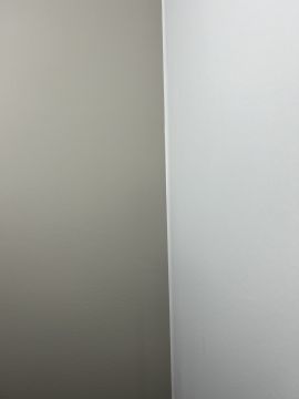 PalmTree - Sintra - Wallpaper Repair
