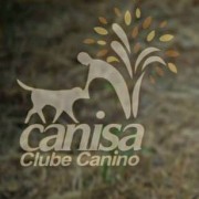 Canisa - Centro de Treinos e Hotel Canino - Braga - Dog Walking