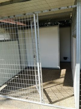 Gugadogs - Guimarães - Modificação de Comportamento Animal
