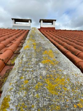 Anderson Mendes - Lisboa - Limpeza de Telhado
