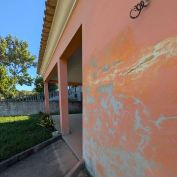 Miguel Dias - Oliveira do Bairro - Grundstücksreinigung