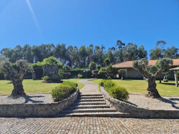 Dream Eventos - Paços de Ferreira - Party Planning