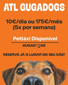 Gugadogs - Guimarães - Hotel e Creche para Animais