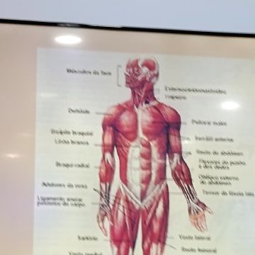 Leve Alma - Oeiras - Deep Tissue Massage