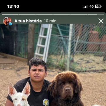 Dog feliz 😁 - Sintra - Hundetagesstätte (Hundesitter)
