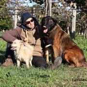 Canisa - Centro de Treinos e Hotel Canino - Braga - Dog Walking