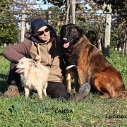 Canisa - Centro de Treinos e Hotel Canino - Braga - Dog Training - Private Lessons