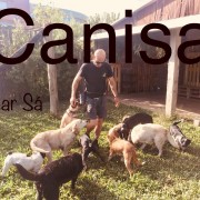 Canisa - Centro de Treinos e Hotel Canino - Braga - Creche para Cães