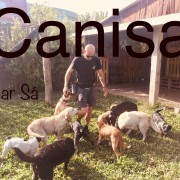 Canisa - Centro de Treinos e Hotel Canino - Braga - Dog Sitting