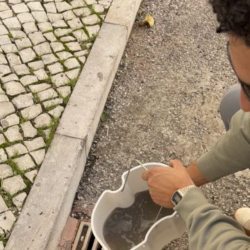 Aspiramais - Vendas Novas - Nettoyage de tapis