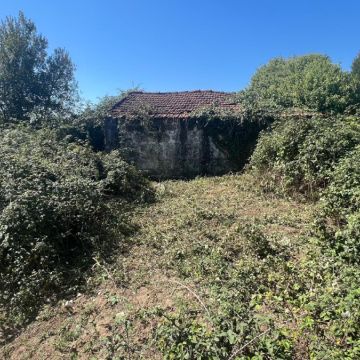 Tatica Duradoura - Maia - Treppe und Treppenhaus reparieren