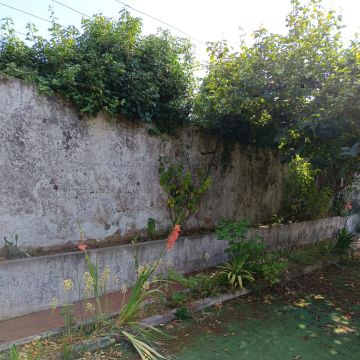 Zoeserve - São João da Madeira - Peinture de bâtiments