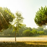 mmagn@v - Braga - Family Portrait Photography