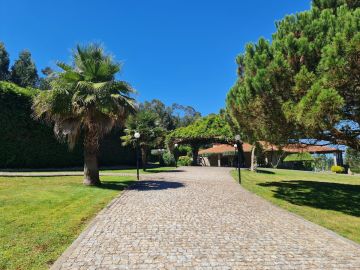Dream Eventos - Paços de Ferreira - Bachelor Parties