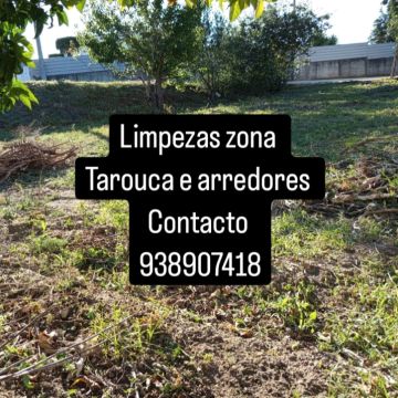 Ângelo Ferreira - Tarouca - Tree Trimming and Maintenance
