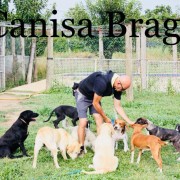 Canisa - Centro de Treinos e Hotel Canino - Braga - Dog Daycare