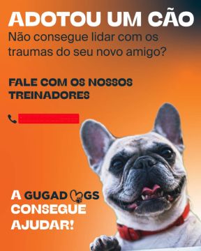 Gugadogs - Guimarães - Treino de Cães - Aulas
