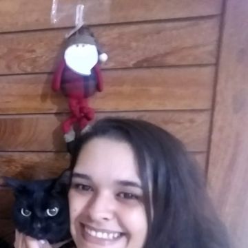 PetSitting em Vila Nova de Gaia - Vila Nova de Gaia - Cuidar tus gatos