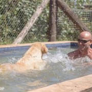Canisa - Centro de Treinos e Hotel Canino - Braga - Pet Boarding and Daycare