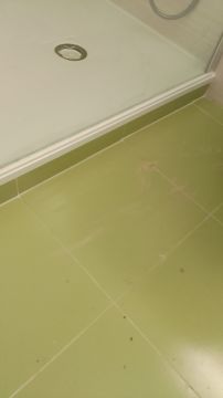 Francisco - Montijo - Remodelación de tienda