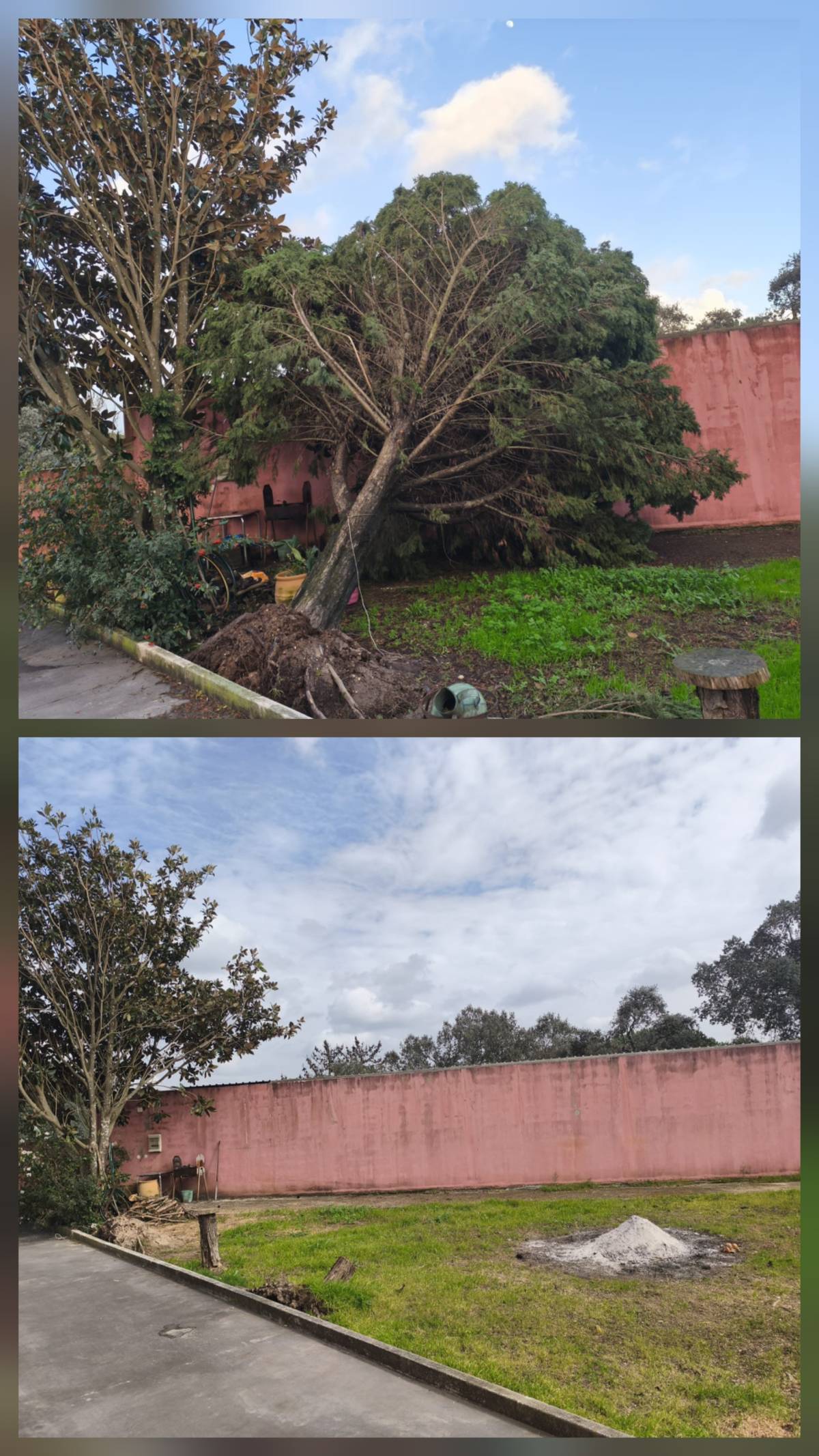 InovoGreen Serviços Florestais e Ambientais - Ourém - Limpeza de Terrenos