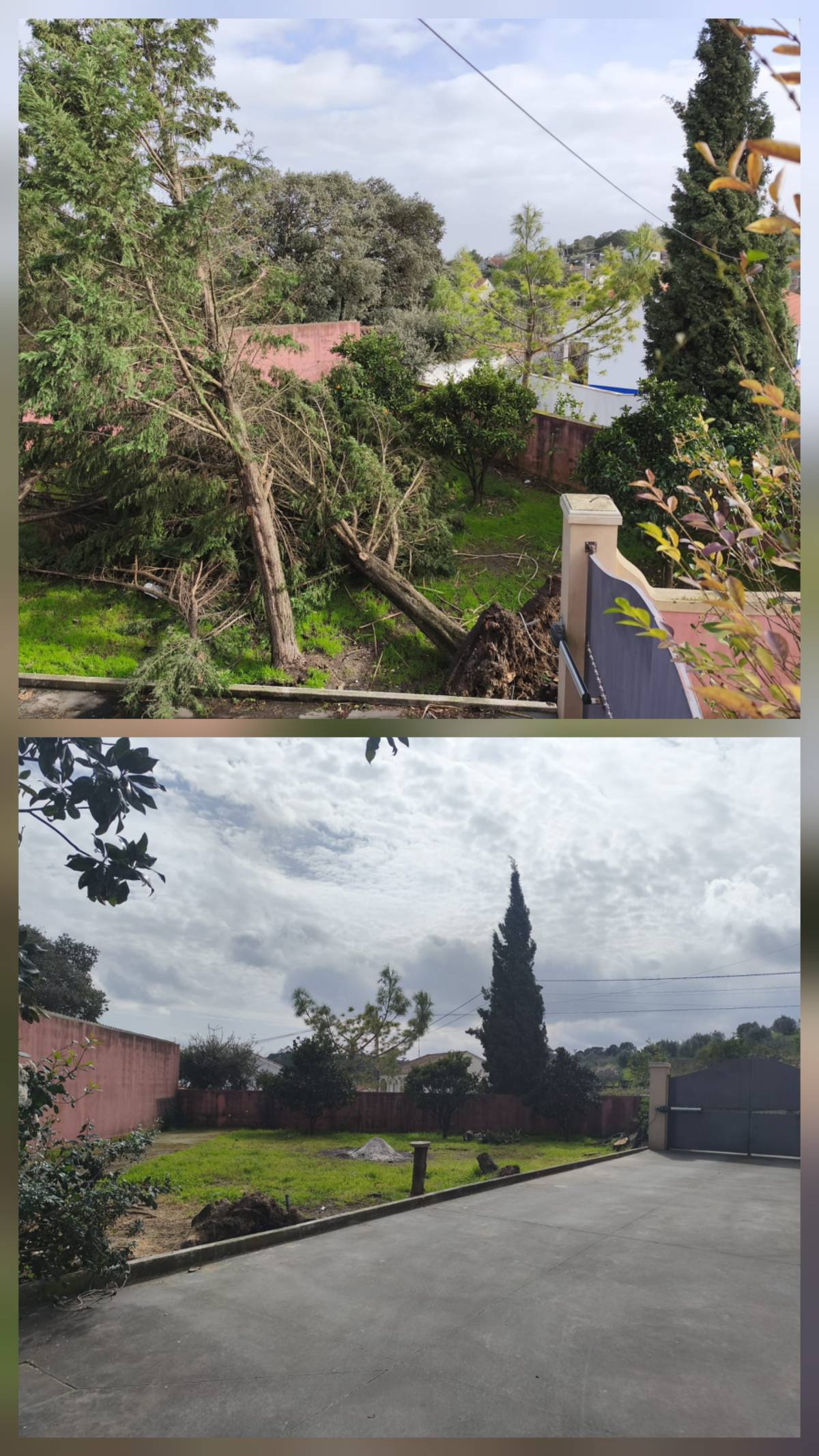 InovoGreen Serviços Florestais e Ambientais - Ourém - Jardinagem e Relvados