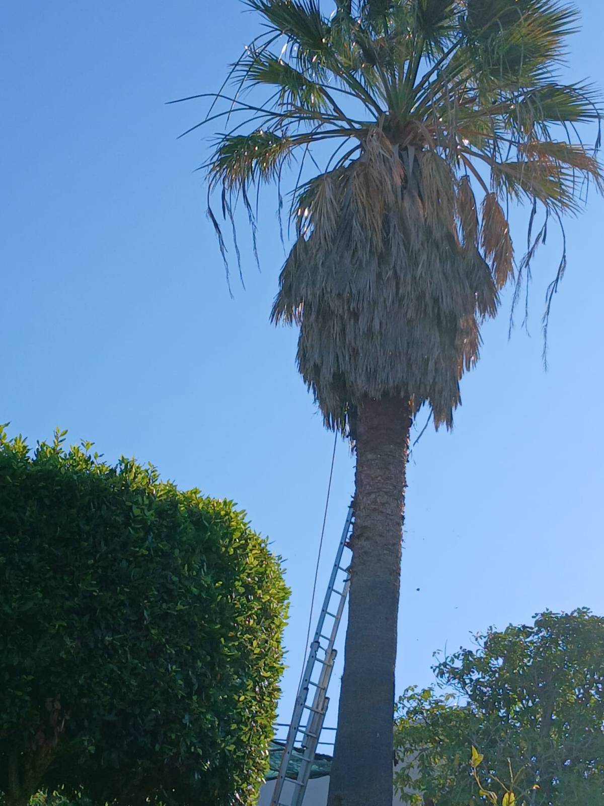 Lcr Tree Service - Lagos - Snow Plowing (Residential)