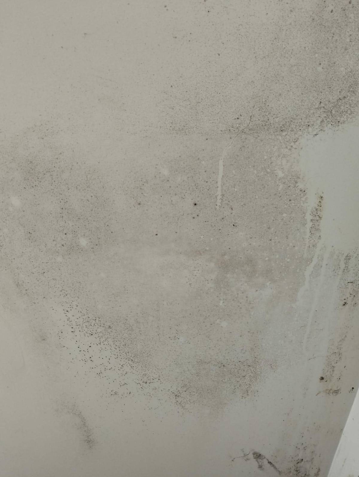 Lar limpo - Setúbal - Deep or Spring Cleaning