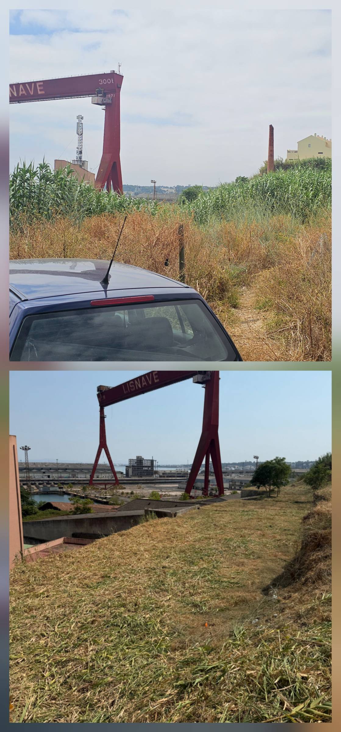 InovoGreen Serviços Florestais e Ambientais - Ourém - Instalação de Cerca