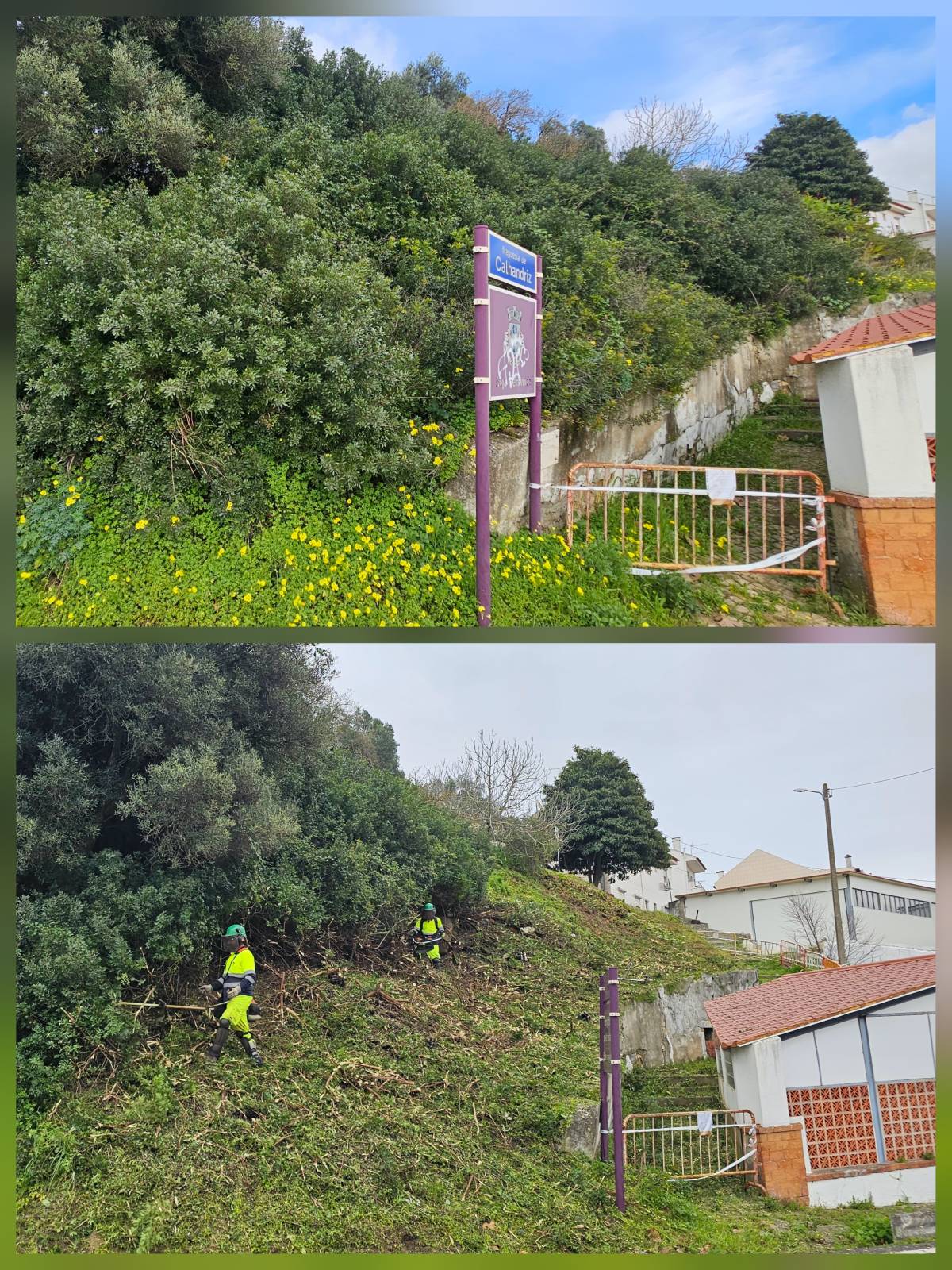 InovoGreen Serviços Florestais e Ambientais - Ourém - Corte e Aparação de Relvado