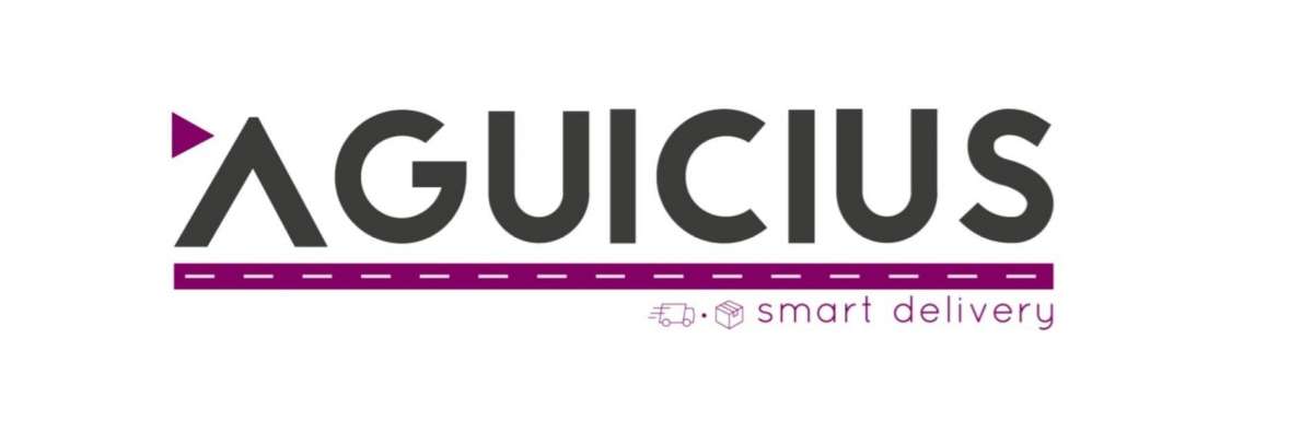 AGUICIUS - Smart Delivery - Barcelos - Montagem de Mesa de Bilhar