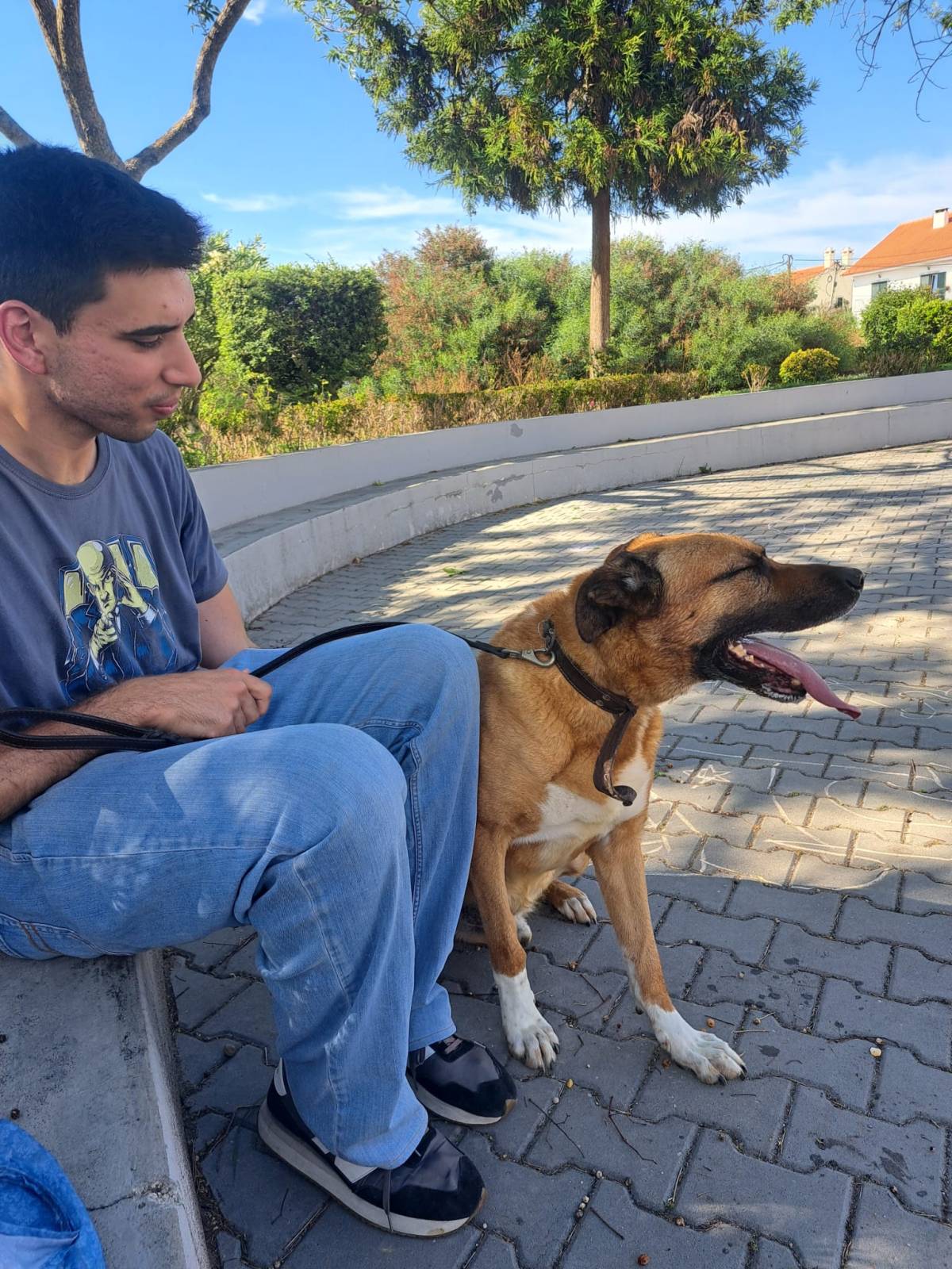 Miguel - Almada - Cat Sitting