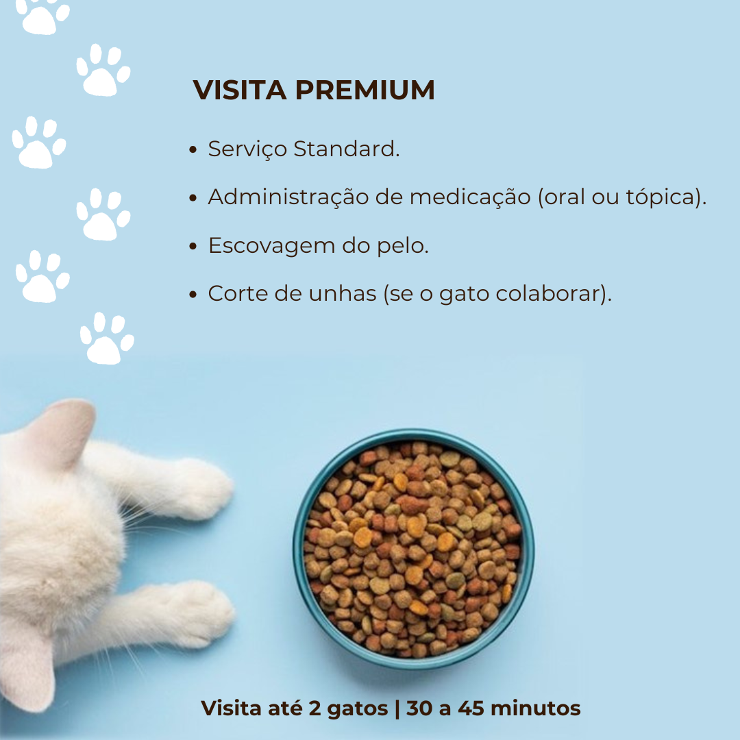 CatSisters - Vila Nova de Famalicão - Cat Sitting
