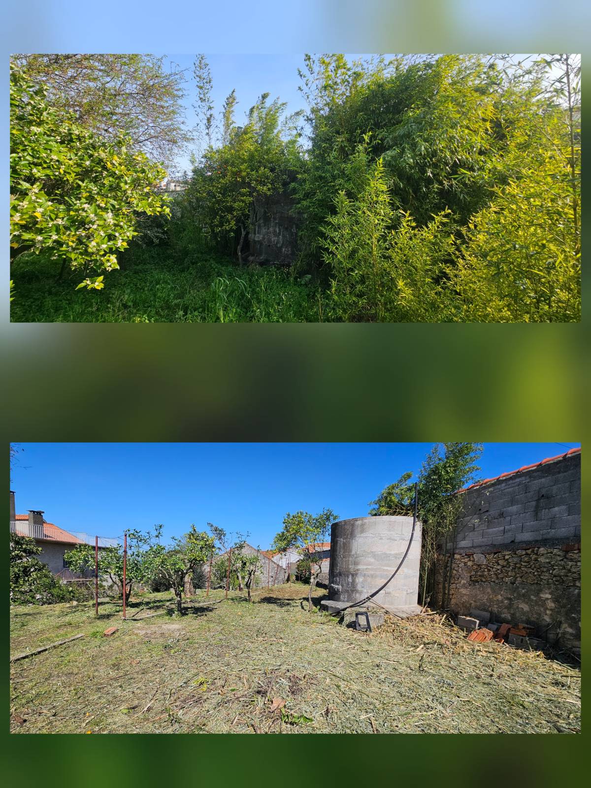 InovoGreen Serviços Florestais e Ambientais - Ourém - Tratamento de Relvado