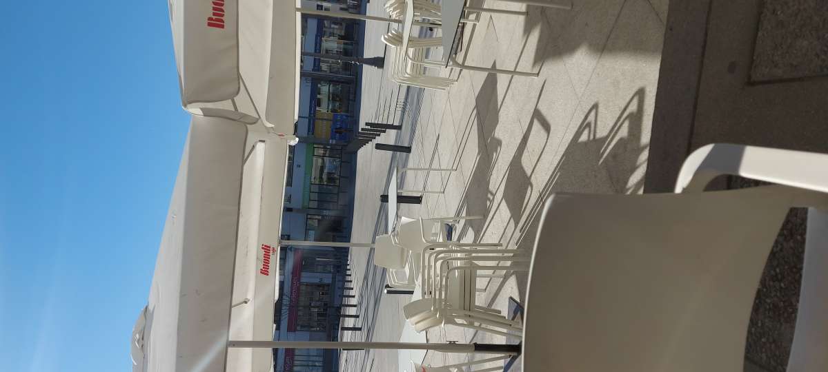 Alarice - Coimbra - Property Cleanup