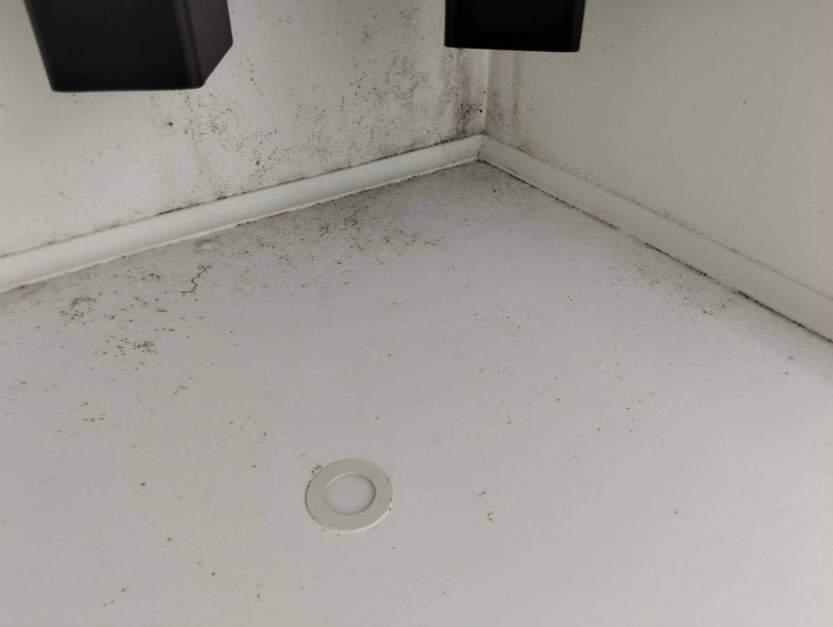 Lar limpo - Setúbal - Property Cleanup