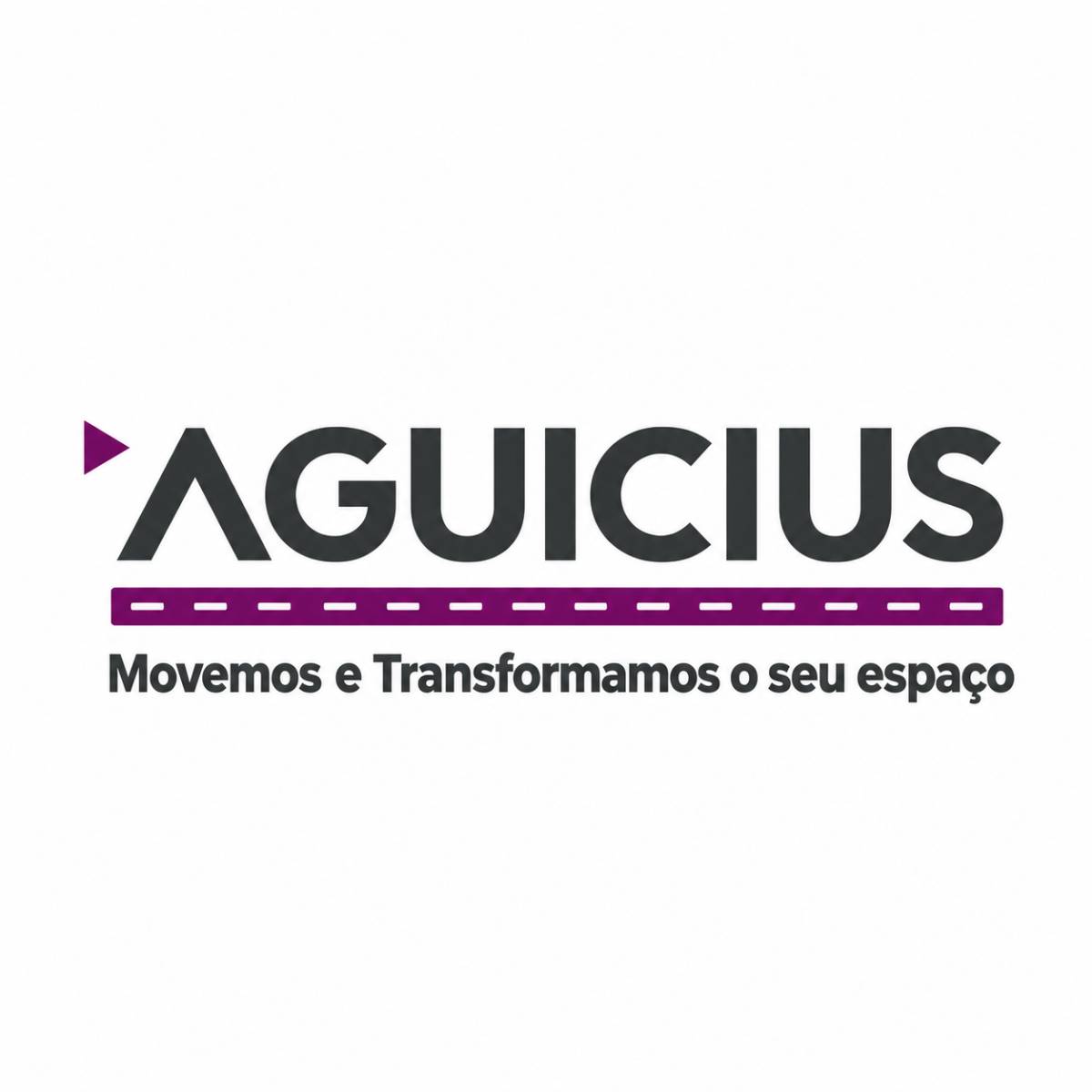 AGUICIUS - Mudanças e Bricolage - Barcelos - Möbelmontage