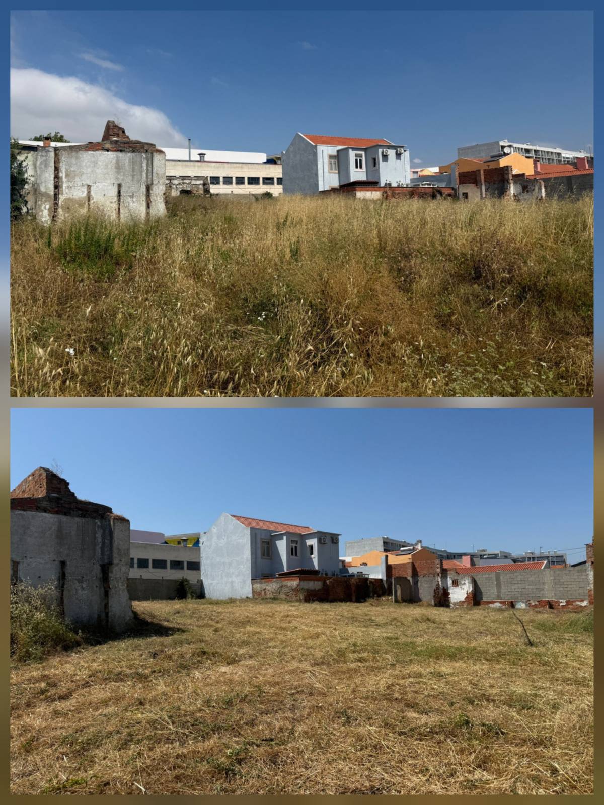 InovoGreen Serviços Florestais e Ambientais - Ourém - Plantação de Árvores