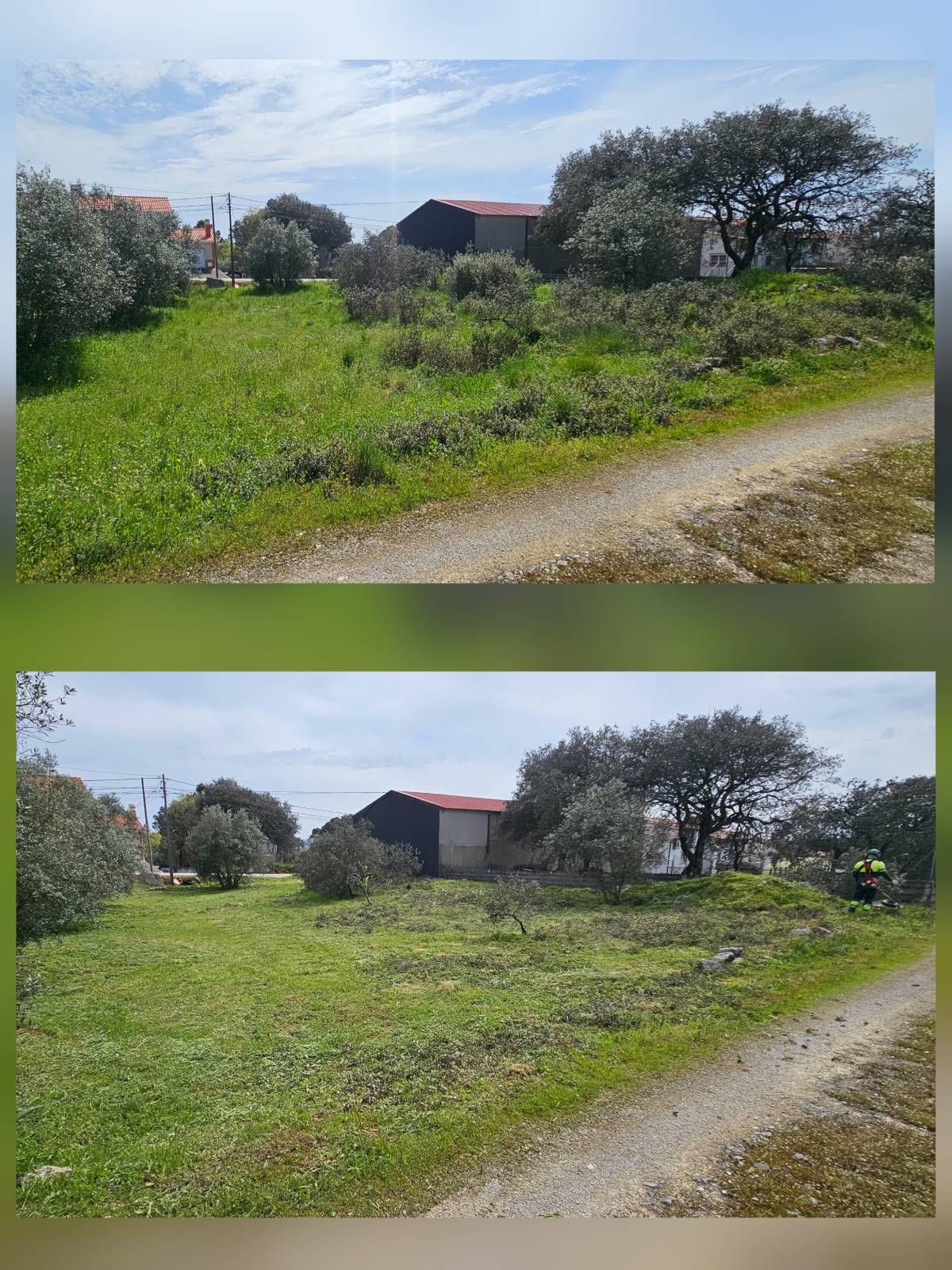InovoGreen Serviços Florestais e Ambientais - Ourém - Remoção de Tronco de Árvore