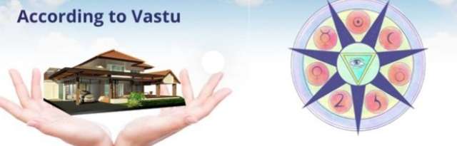 Vikas Saini - Sintra - Mattress Cleaning