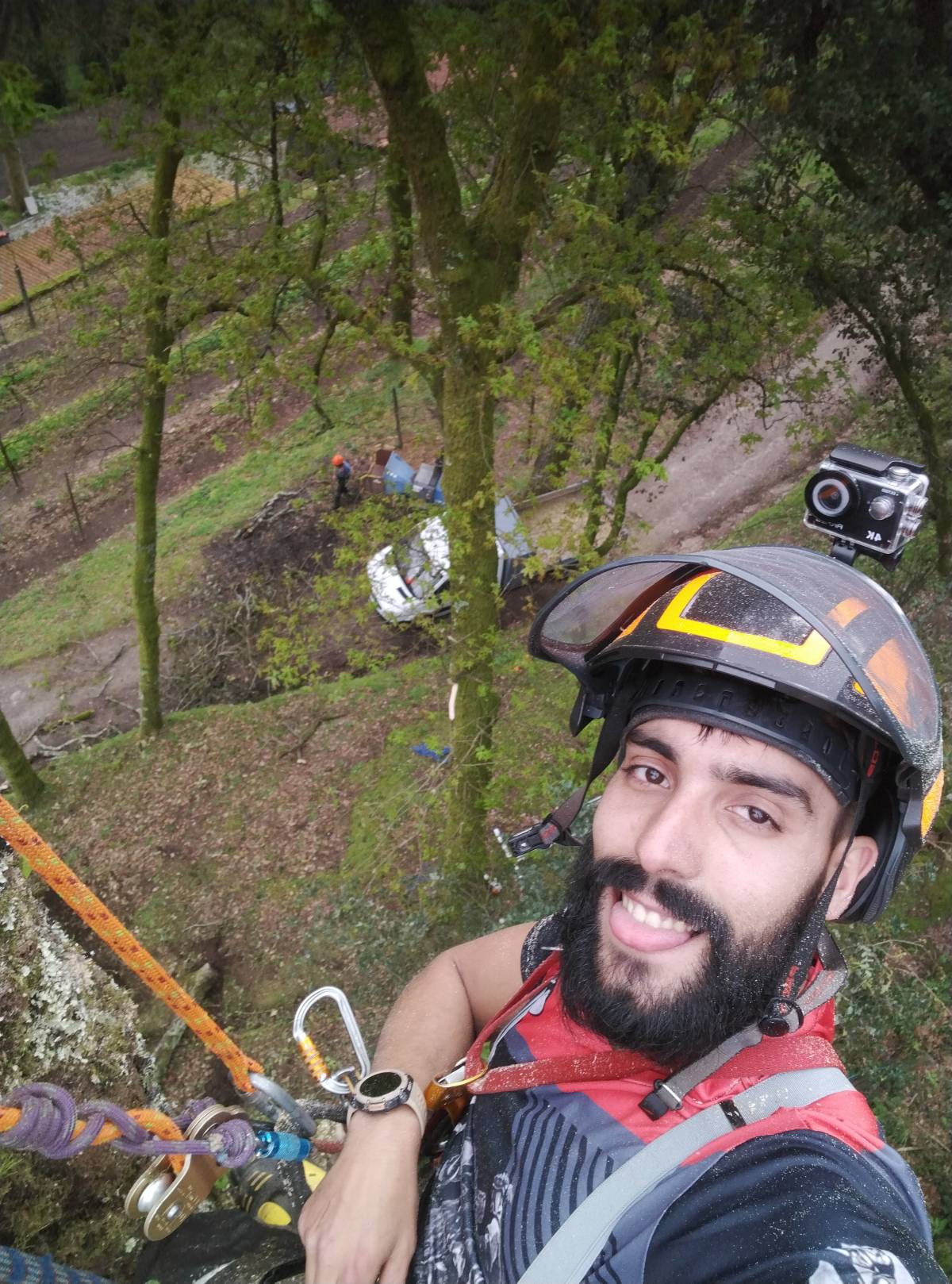 Filipe Plácido Arborista - Maia - Jardinagem e Relvados