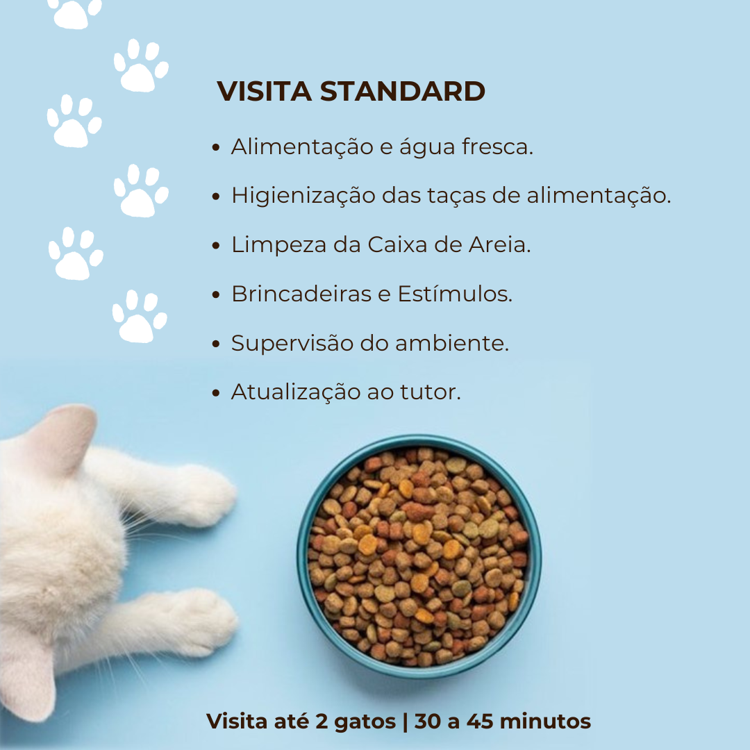 CatSisters - Vila Nova de Famalicão - Pet Sitting e Pet Walking