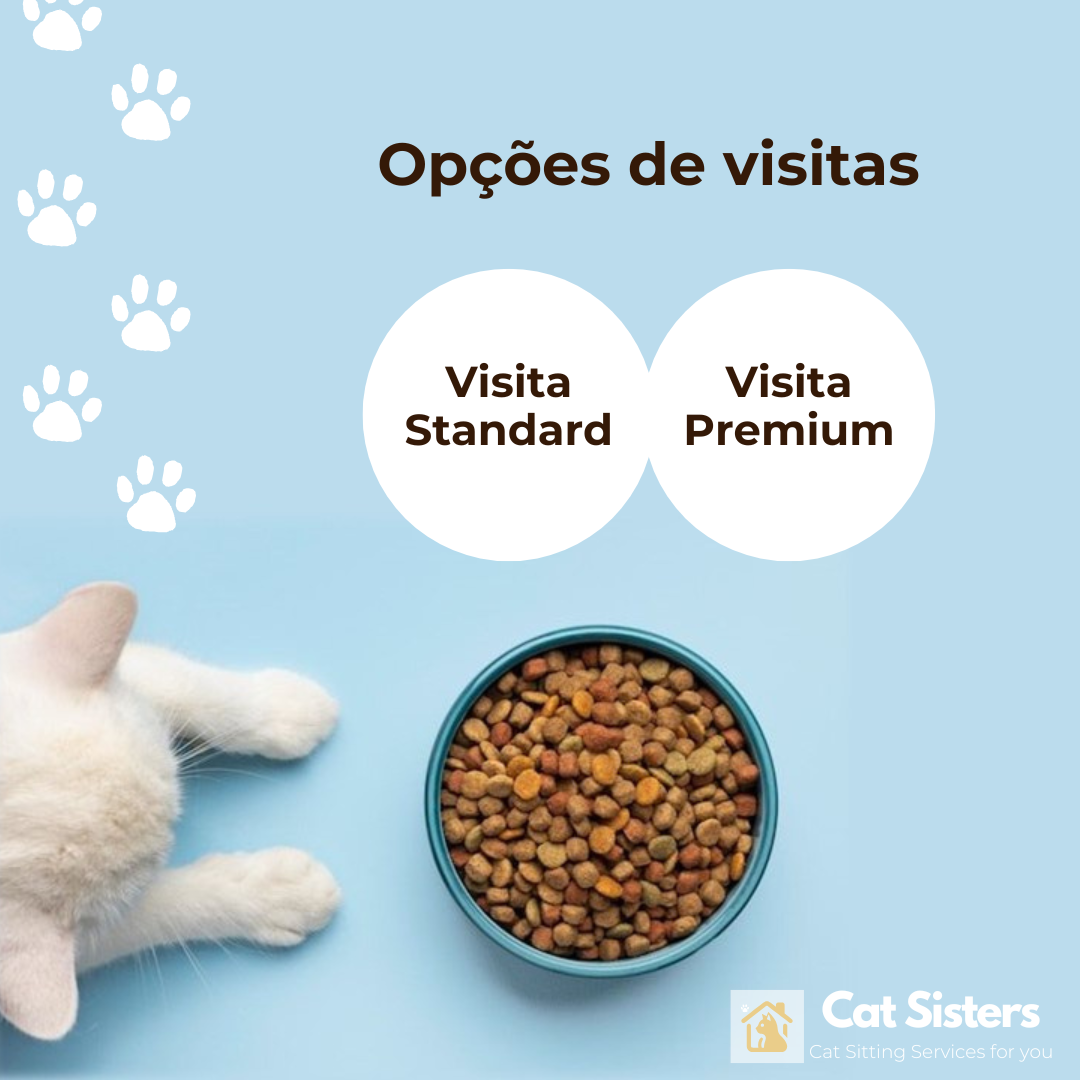 CatSisters - Vila Nova de Famalicão - Cuidados para Animais de Estimação