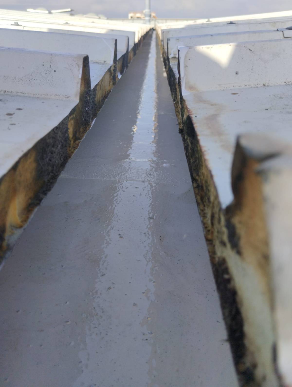Nuno Moreira - Salvaterra de Magos - Home Waterproofing