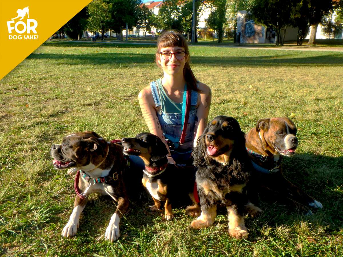 For Dog's Sake! - Sintra - Entrenamiento de animales