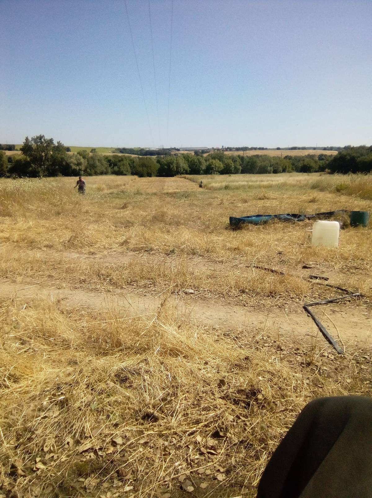 Miguel Neves - Chamusca - Tree Stump Grinding and Removal