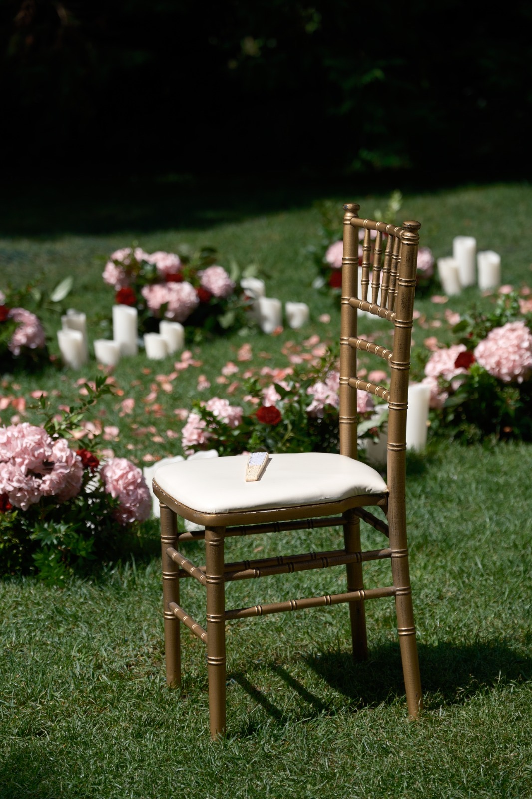 Why not ? Wedding planner - Lisboa - Ventriloquismo
