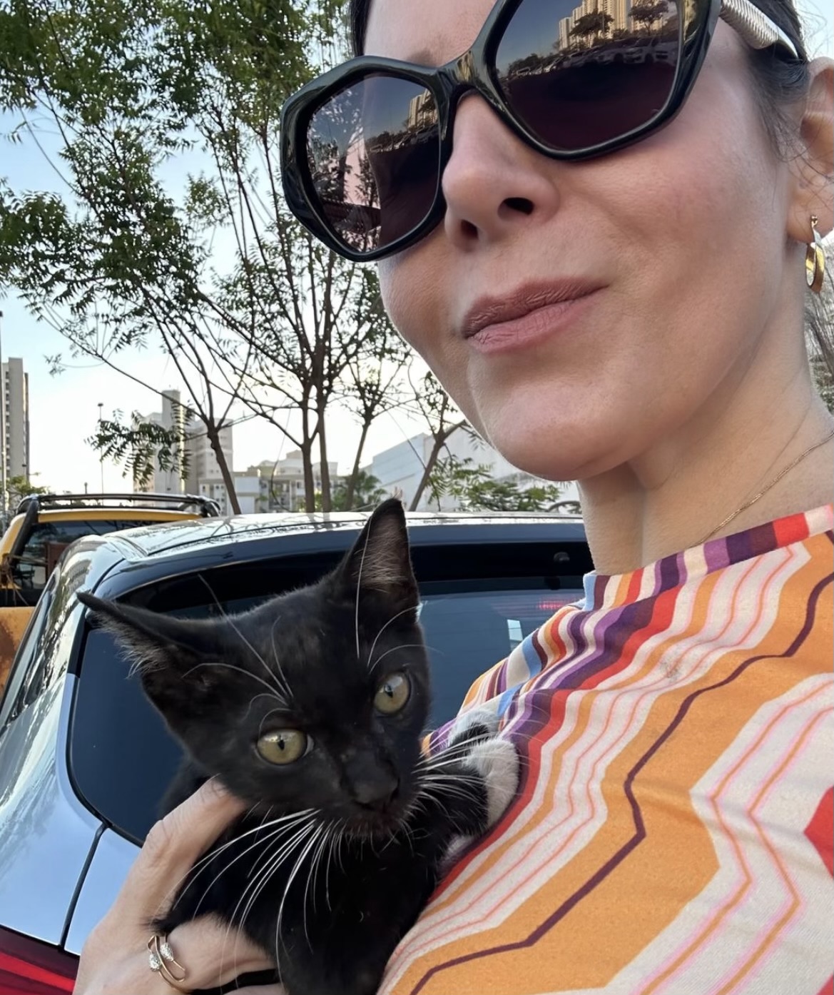 Danielle Medeiros - Braga - Baths and Grooming for Animals